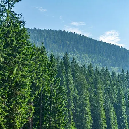 Arnika Отель Буковель