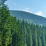 Arnika Отель Буковель