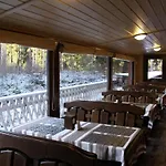 Arnika 3*