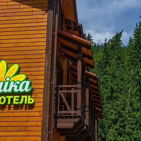 Отель Arnika